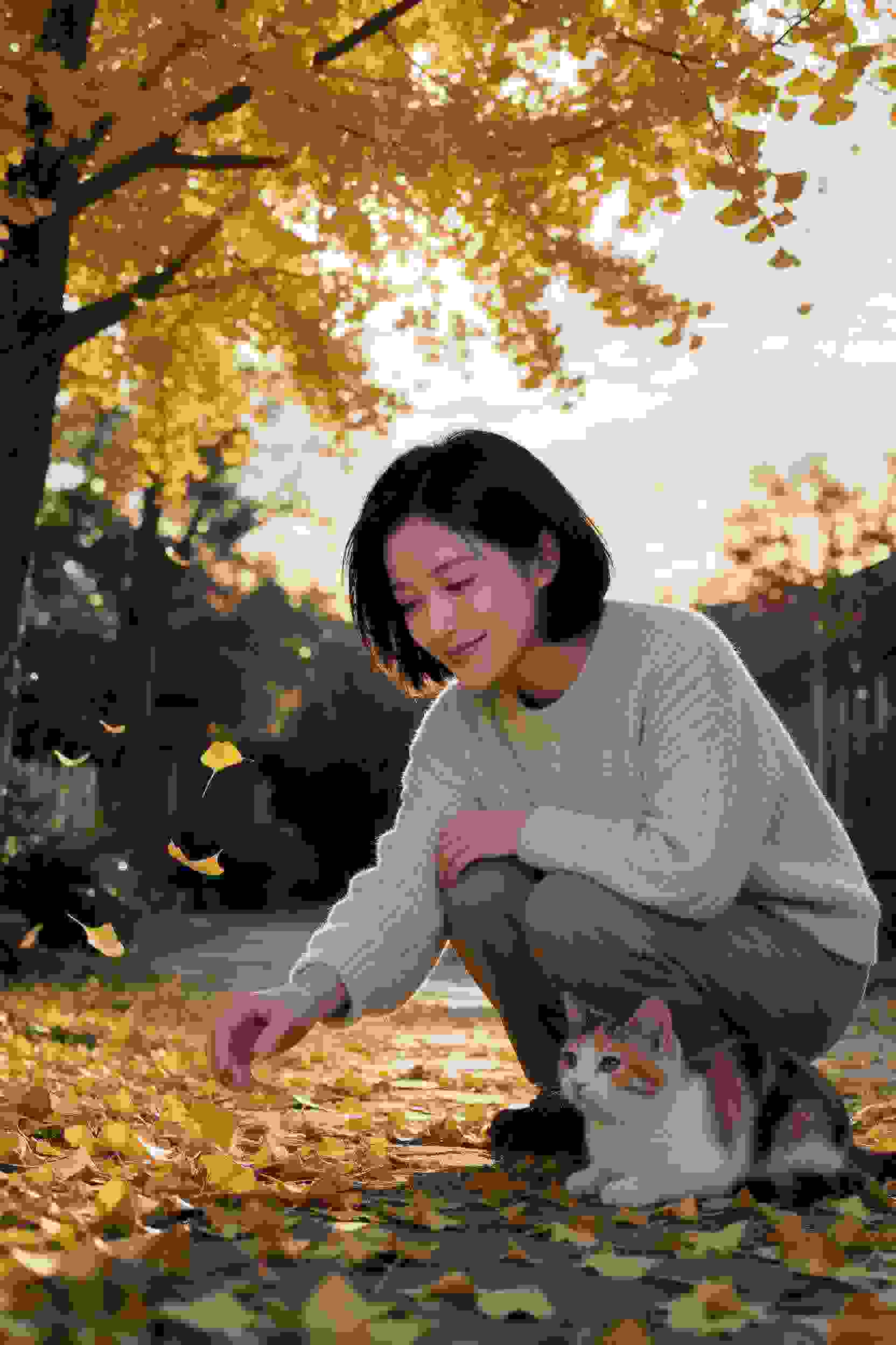 次元之心